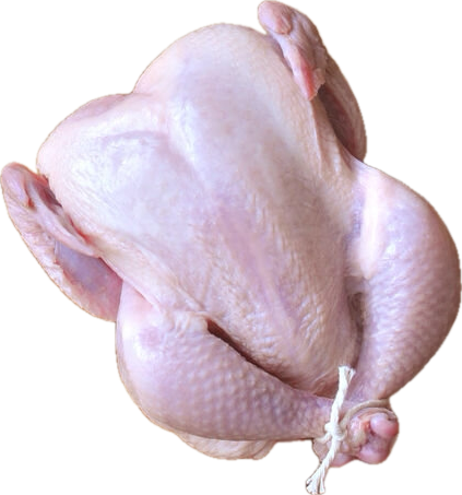 Whole Turkey